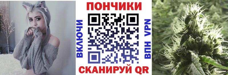 Бошки Шишки марихуана  сайты даркнета телеграм  Кашин  наркота 